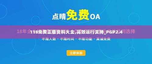 118免费正版资料大全,高效运行支持_PGP2.4