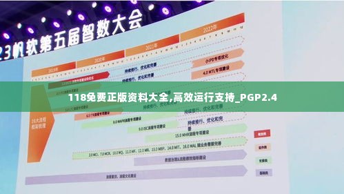 118免费正版资料大全,高效运行支持_PGP2.4