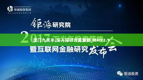 澳门九点半,深入探讨方案策略_MHY2.9