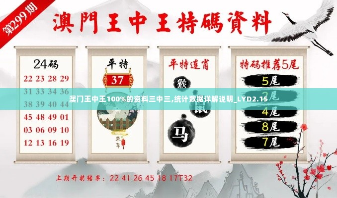 澳门王中王100%的资料三中三,统计数据详解说明_LYD2.15