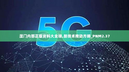 澳门内部正版资料大全嗅,新技术推动方略_PNM2.37