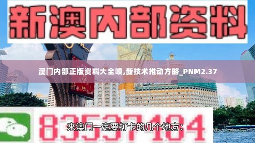 澳门内部正版资料大全嗅,新技术推动方略_PNM2.37