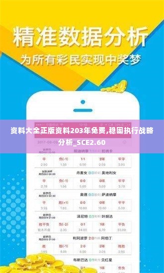 资料大全正版资料203年免费,稳固执行战略分析_SCE2.60