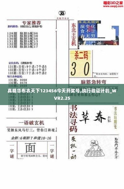 真精华布衣天下123456今天开奖号,执行验证计划_WVR2.25
