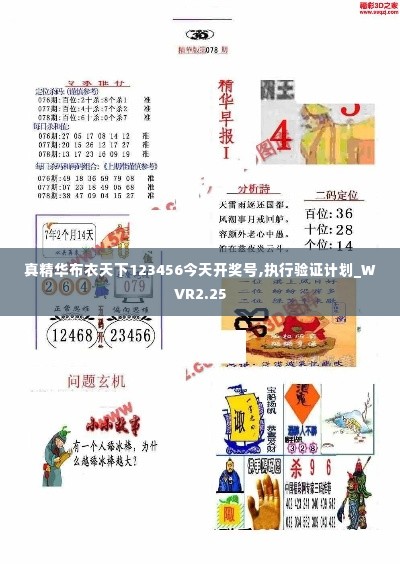 真精华布衣天下123456今天开奖号,执行验证计划_WVR2.25