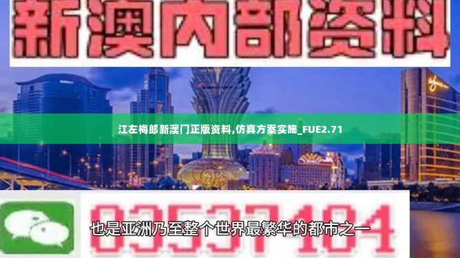 江左梅郎新澳门正版资料,仿真方案实施_FUE2.71