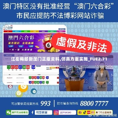 江左梅郎新澳门正版资料,仿真方案实施_FUE2.71