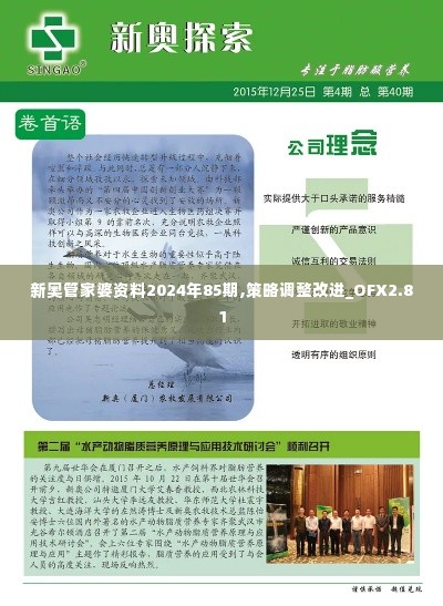 新奥管家婆资料2024年85期,策略调整改进_OFX2.81