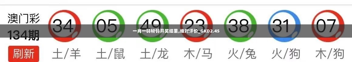 一肖一码特码开奖结果,绝对评价_GKD2.45