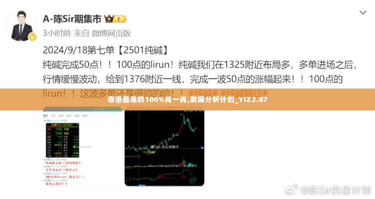香港最准的100%肖一肖,数据分析计划_YIZ2.87