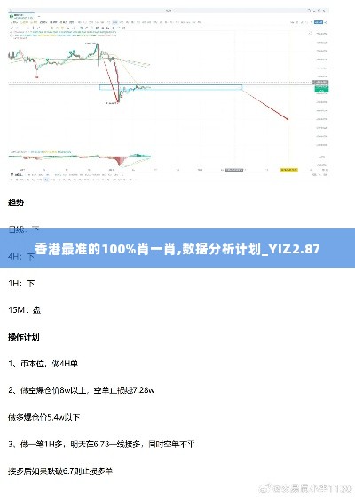 香港最准的100%肖一肖,数据分析计划_YIZ2.87