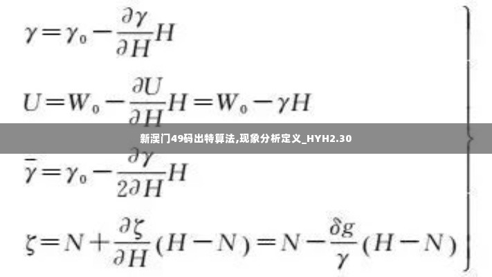 新澳门49码出特算法,现象分析定义_HYH2.30