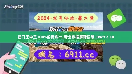 澳门王中王100%的资料一,专业数据解释设想_HWY2.30