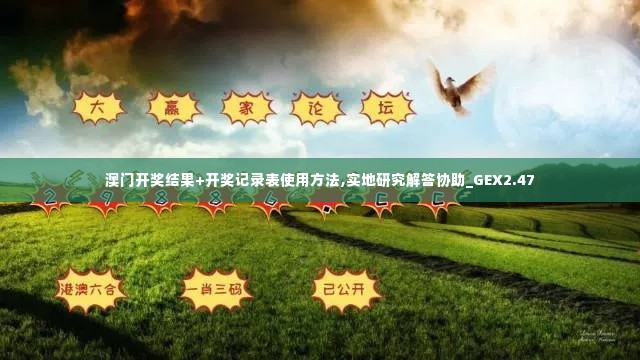 澳门开奖结果+开奖记录表使用方法,实地研究解答协助_GEX2.47