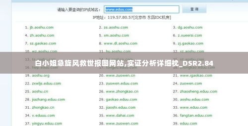 白小姐急旋风救世报图网站,实证分析详细枕_DSR2.84