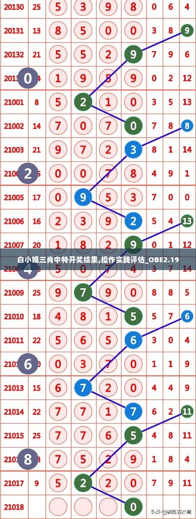 白小姐三肖中特开奖结果,操作实践评估_OBE2.19