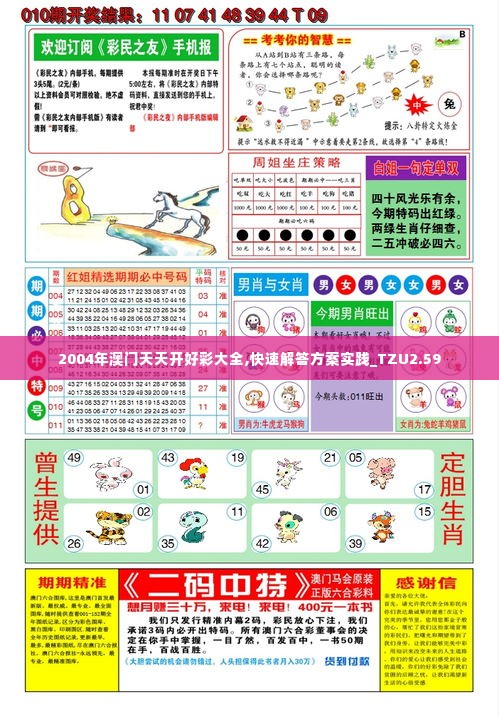 2004年澳门天天开好彩大全,快速解答方案实践_TZU2.59