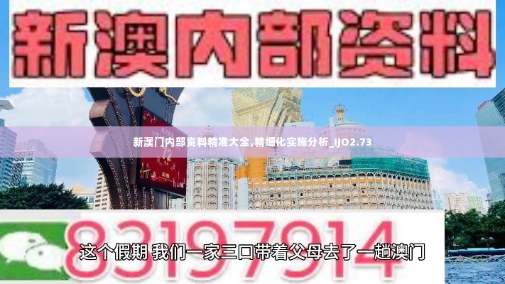 新澳门内部资料精准大全,精细化实施分析_IJO2.73