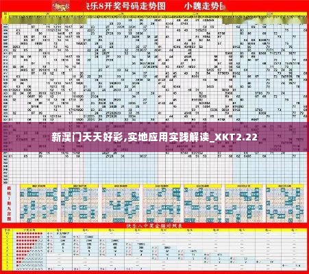 新澳门天天好彩,实地应用实践解读_XKT2.22
