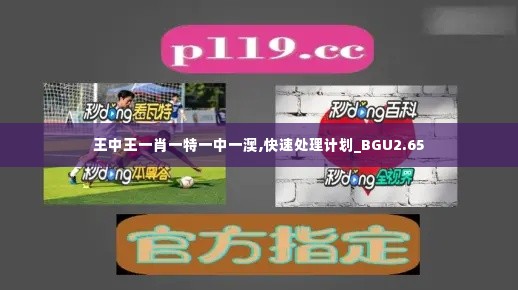 王中王一肖一特一中一澳,快速处理计划_BGU2.65