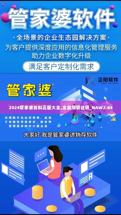 2024管家婆资料正版大全,全盘细明说明_NAW2.84