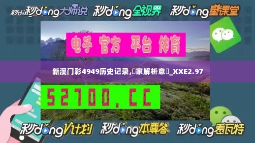 新澳门彩4949历史记录,專家解析意見_XXE2.97