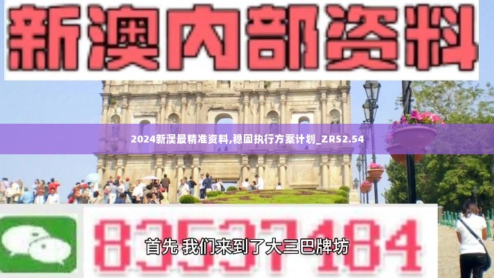 2024新澳最精准资料,稳固执行方案计划_ZRS2.54