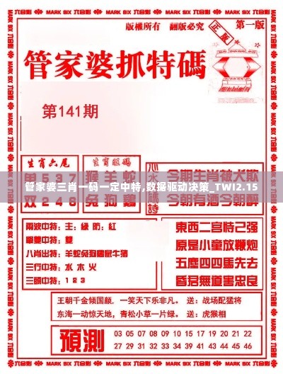 管家婆三肖一码一定中特,数据驱动决策_TWI2.15