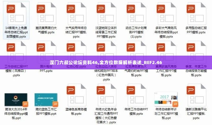 澳门六叔公论坛资料46,全方位数据解析表述_REF2.46