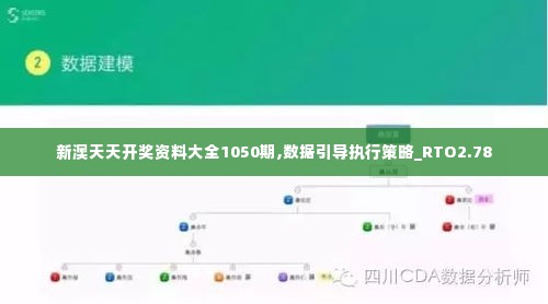 新澳天天开奖资料大全1050期,数据引导执行策略_RTO2.78