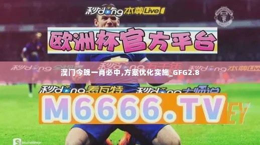 澳门今晚一肖必中,方案优化实施_GFG2.8