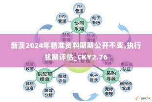 新澳2024年精准资料期期公开不变,执行机制评估_CKY2.76