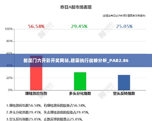 新澳门六开彩开奖网站,稳固执行战略分析_PAB2.86