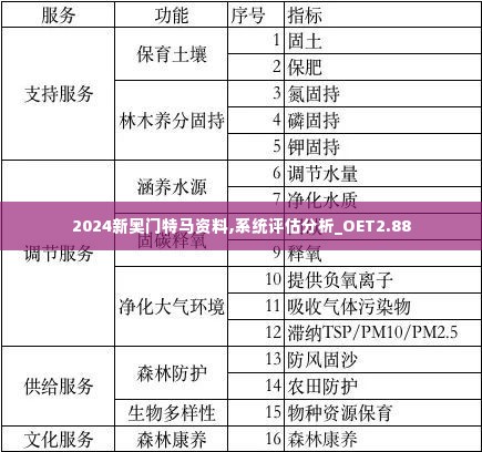 2024新奥门特马资料,系统评估分析_OET2.88