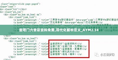新粤门六舍彩资料免费,现代化解析定义_AYM2.34