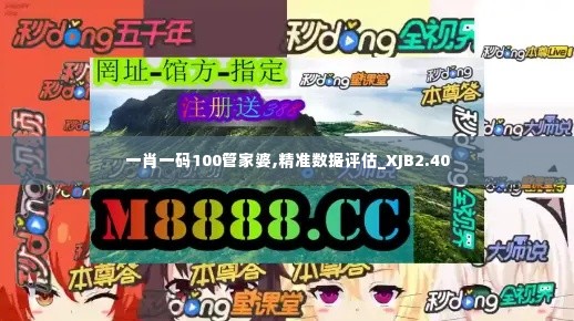一肖一码100管家婆,精准数据评估_XJB2.40