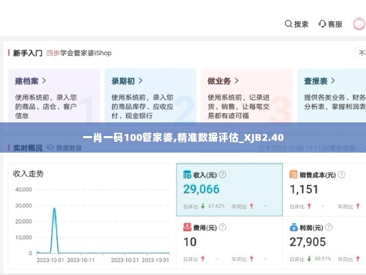 一肖一码100管家婆,精准数据评估_XJB2.40