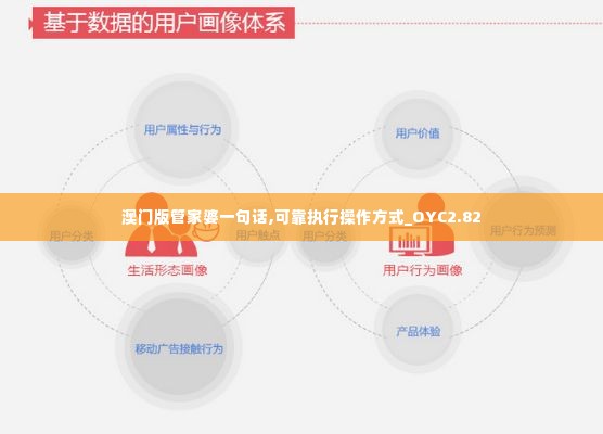 澳门版管家婆一句话,可靠执行操作方式_OYC2.82