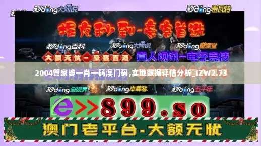 2004管家婆一肖一码澳门码,实地数据评估分析_IZW2.73