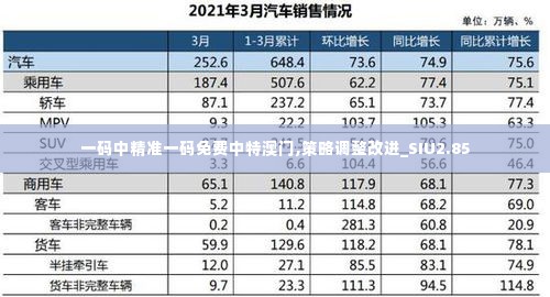 一码中精准一码免费中特澳门,策略调整改进_SIU2.85