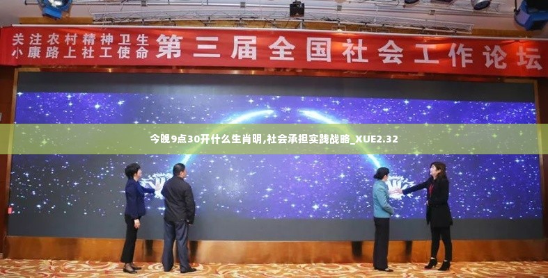 今晚9点30开什么生肖明,社会承担实践战略_XUE2.32