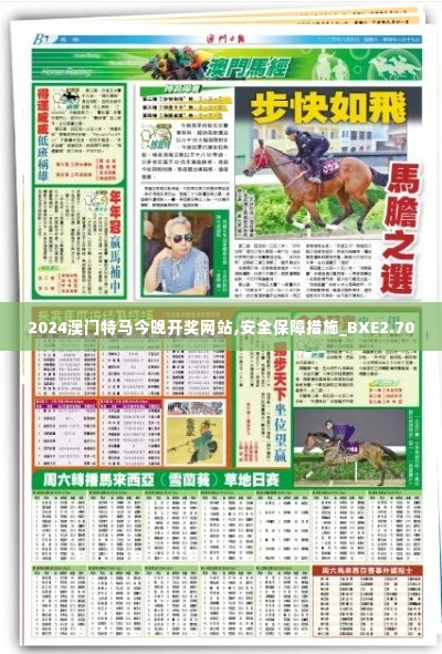 2024澳门特马今晚开奖网站,安全保障措施_BXE2.70