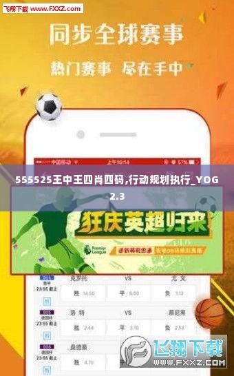 555525王中王四肖四码,行动规划执行_YOG2.3