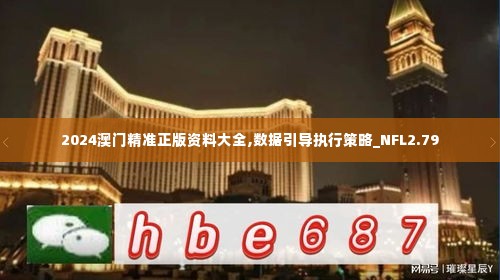 2024澳门精准正版资料大全,数据引导执行策略_NFL2.79