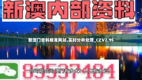 新澳门资料精准网站,实时分析处理_CZV2.95