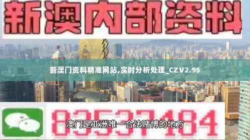 新澳门资料精准网站,实时分析处理_CZV2.95