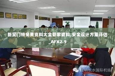 新奥门特免费资料大全管家婆料,安全设计方案评估_AFX2.9