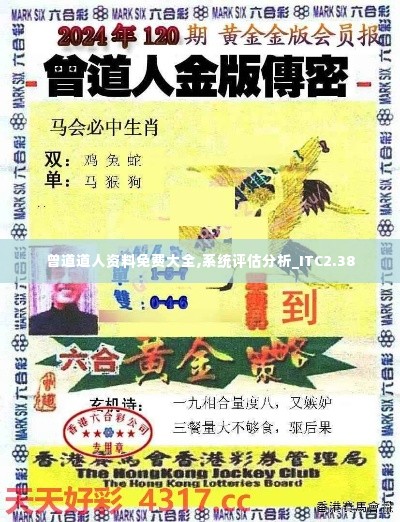 曾道道人资料免费大全,系统评估分析_ITC2.38