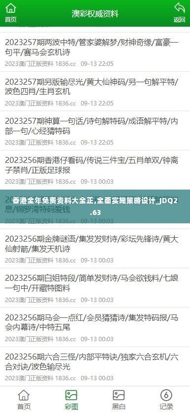 香港全年免费资料大全正,全面实施策略设计_JDQ2.63
