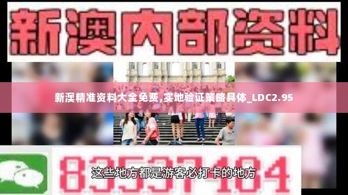 新澳精准资料大全免费,实地验证策略具体_LDC2.95